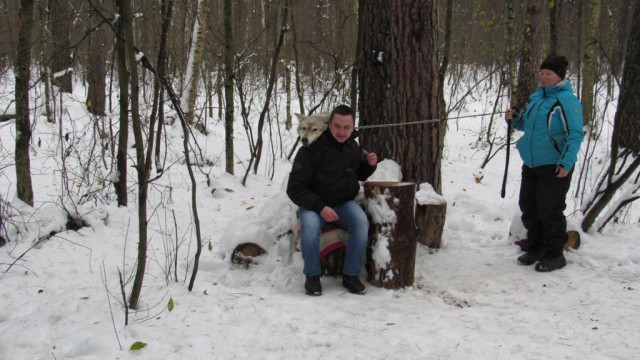 Снег. Лес. Волки. Фотоаппарат.