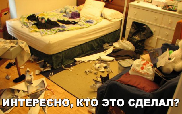 Подборка безудержного веселья