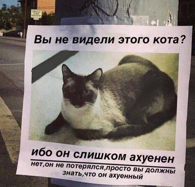 Не совсем светлый и адекватный юмор