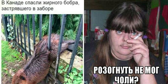 Веселые картинки! Деградиреум,  или просто веселимся?