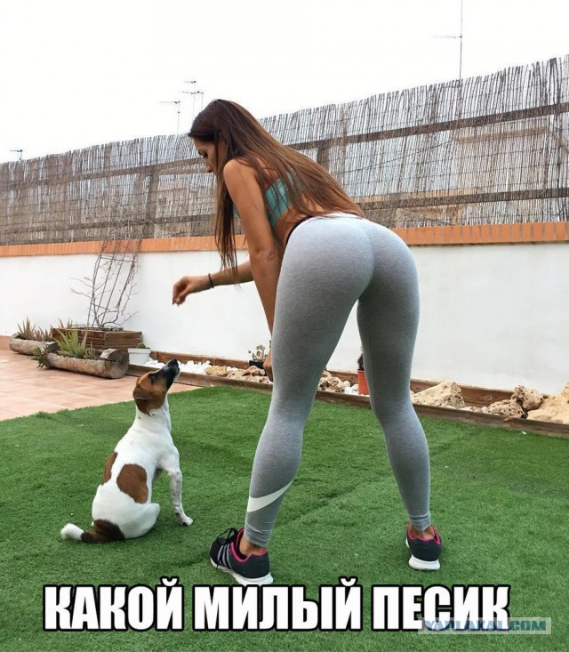 Просто картинки