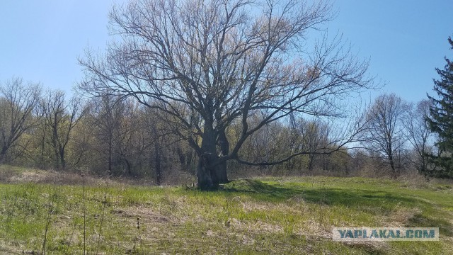 Просто Природа