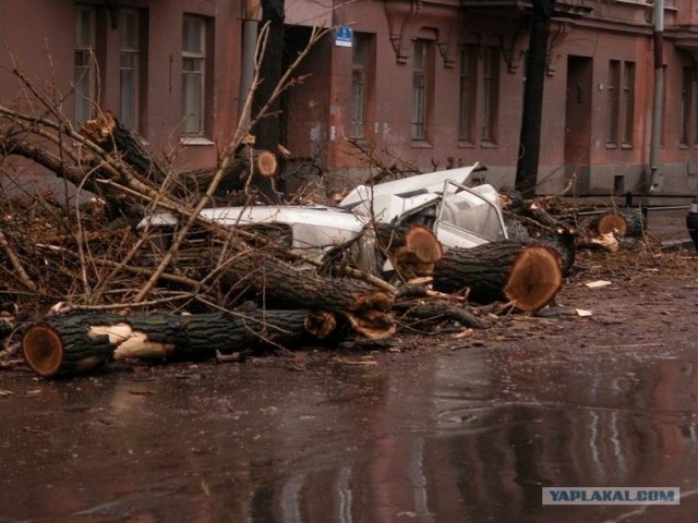 Дорогой, ты уверен, что с машиной все в порядке?