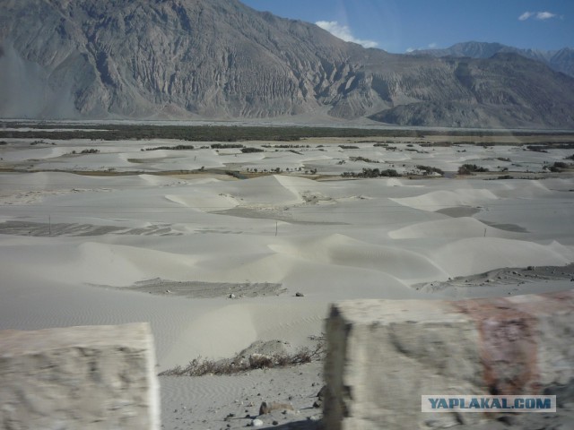 Лично мне не нужен берег турецкий