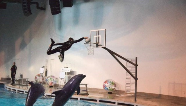 WTF: что тут происходит?