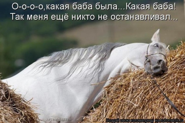 Специфический юмор