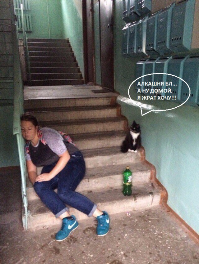 Немного веселых картинок из этих наших интернетов