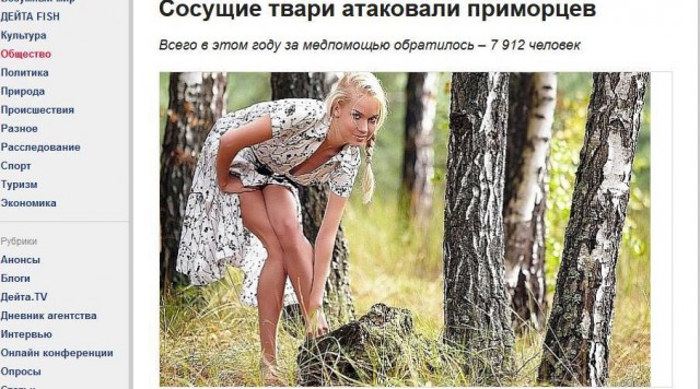 Калейдоскоп картинок