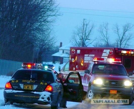 Из отчета дежурного 911 (2 фото)