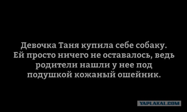 Немножко картинок 06.07