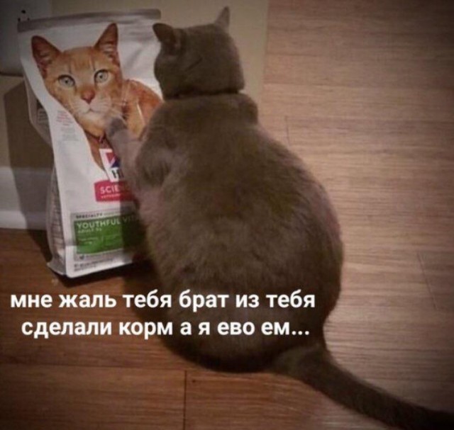 Картинки с надписями и анекдоты 17.09.19