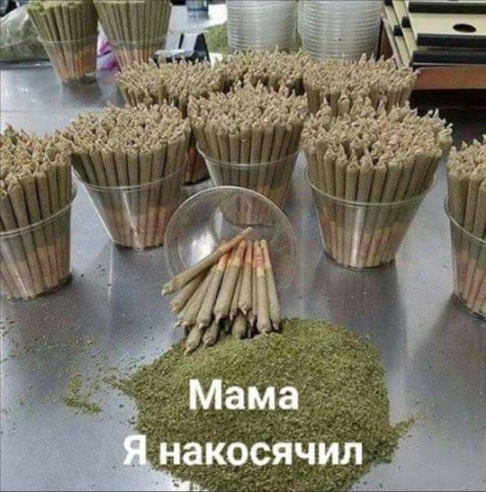 Бредзона 19.11.19