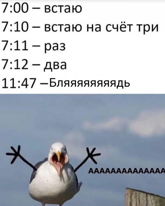 Подеградируем