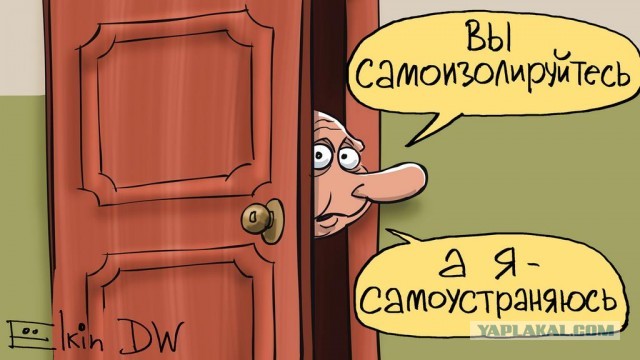 «Москва, уходи!»: За Фургала вышел весь Дальний Восток.