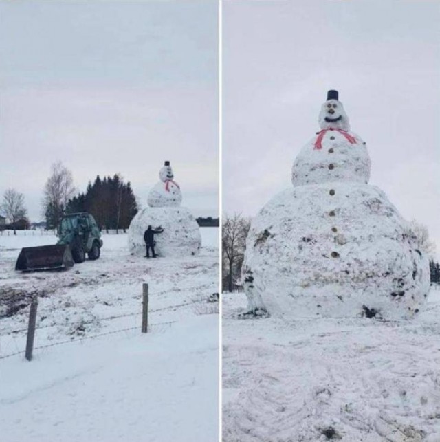 Фотосалат и картинки