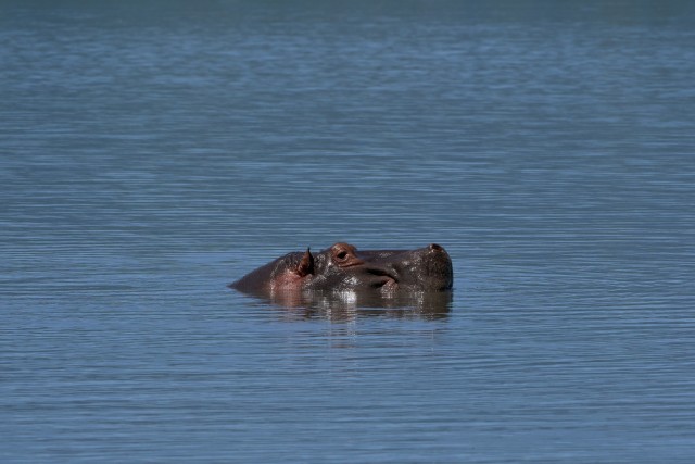 Сафари по северным паркам Танзании в феврале