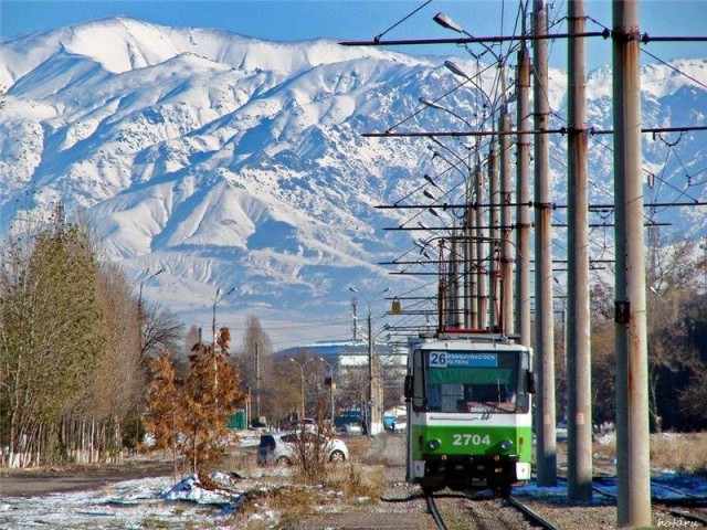 Такие огромные штуки могут вызвать приступ мегалофобии