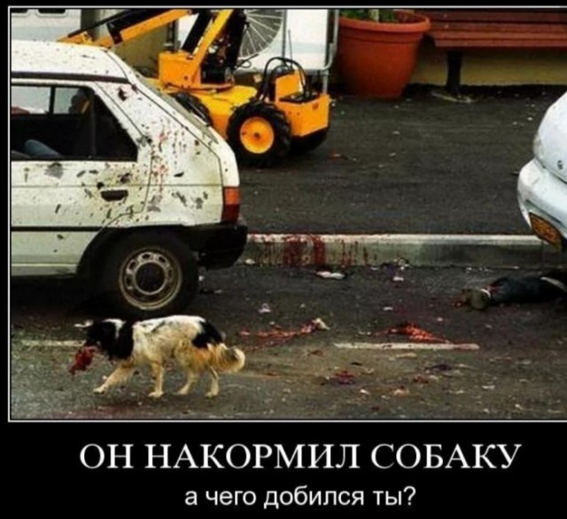 Пост деградации. Мой любимый пост. Категории Б