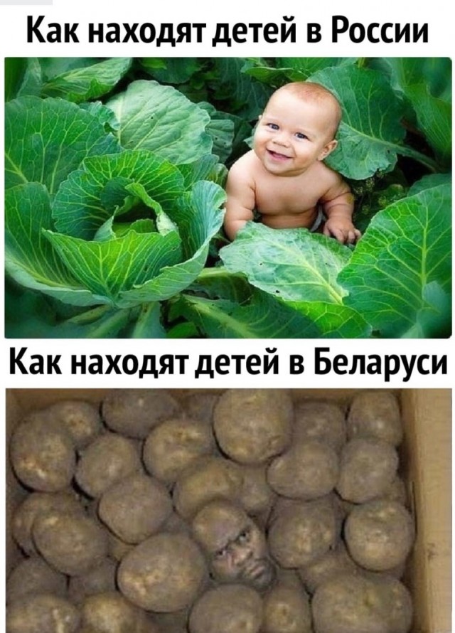 Аморальная деградация