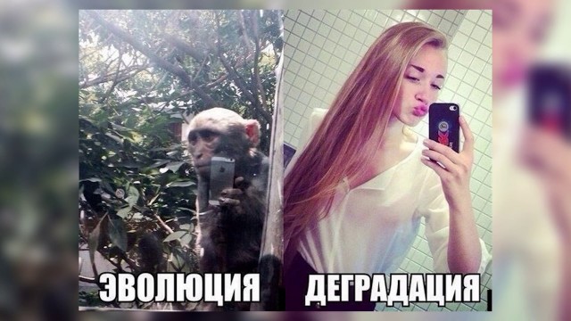 ПервоФевральская Хня, для дорогих деградантов