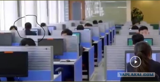 Так выглядит свобода