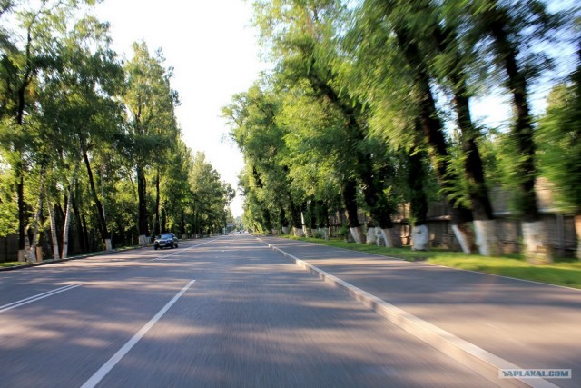 Алматы 2011: город контрастов