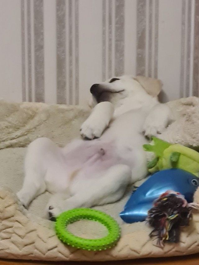 Неподдельные эмоции