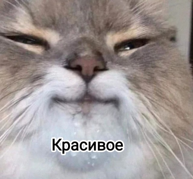Пляж, девушки и белый пароход