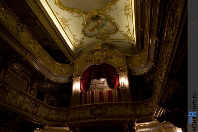 СПб глазами уставшего туриста...