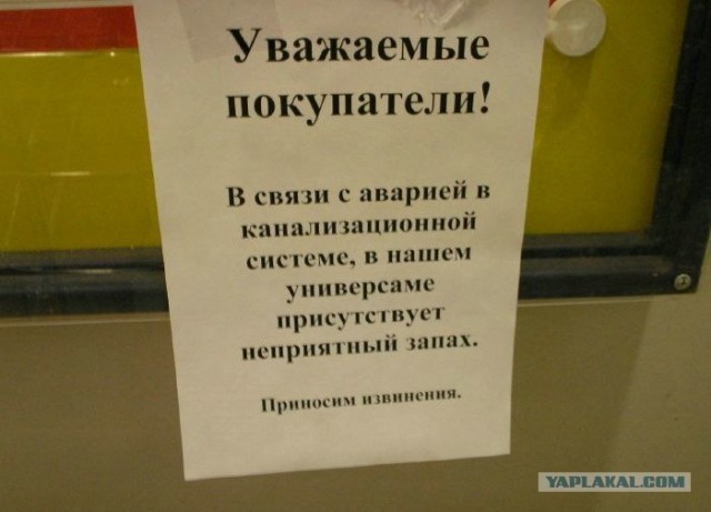 Игра в слова с фотографиями