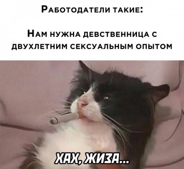 Картинки и мемы для настроения - 119