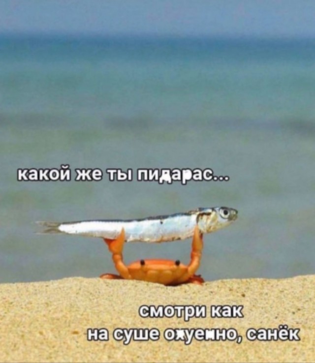 Картинки и мемы. Выходные близко...