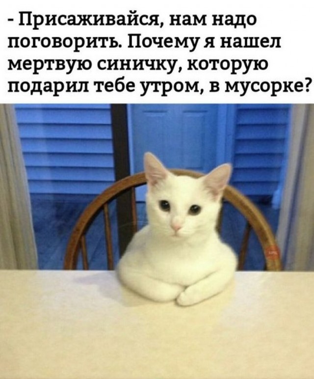 Поржать немного с утра!