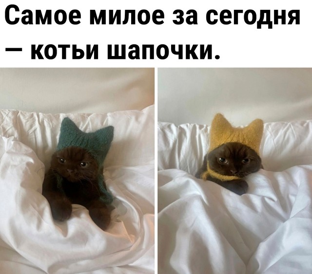 Так себе картинки 11.11.22