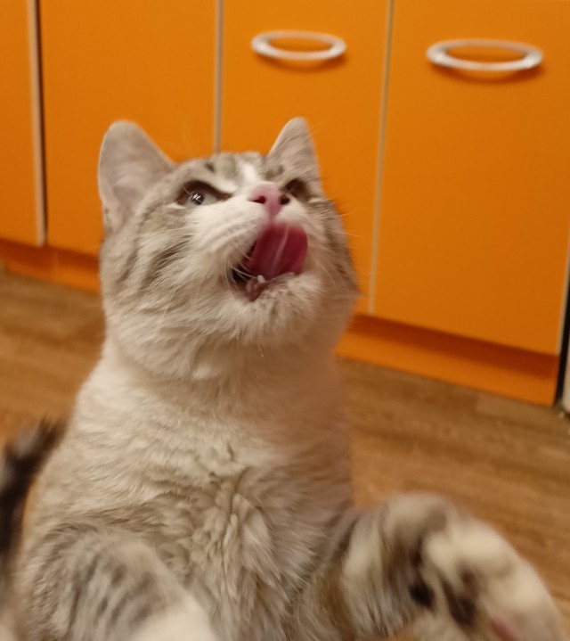 Вот мы какие красивые!