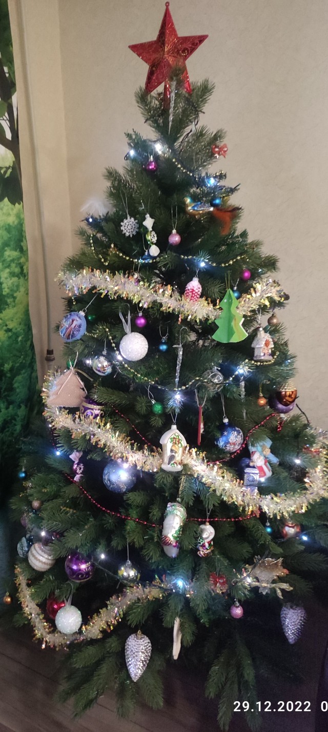 Выкладывайте свои елки!
