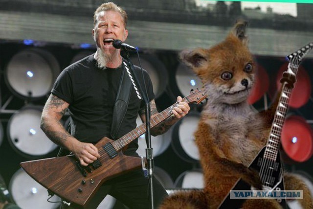 New Single Metallica 2013