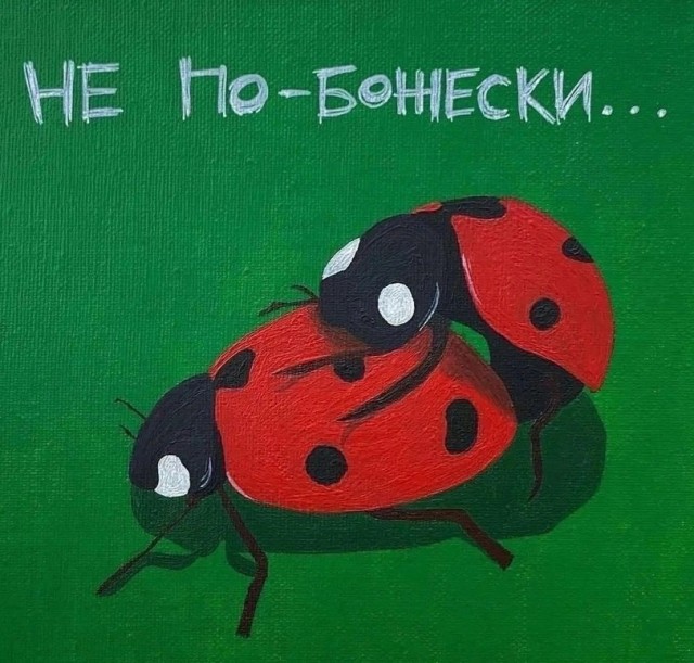 Нуштош 11.02.23