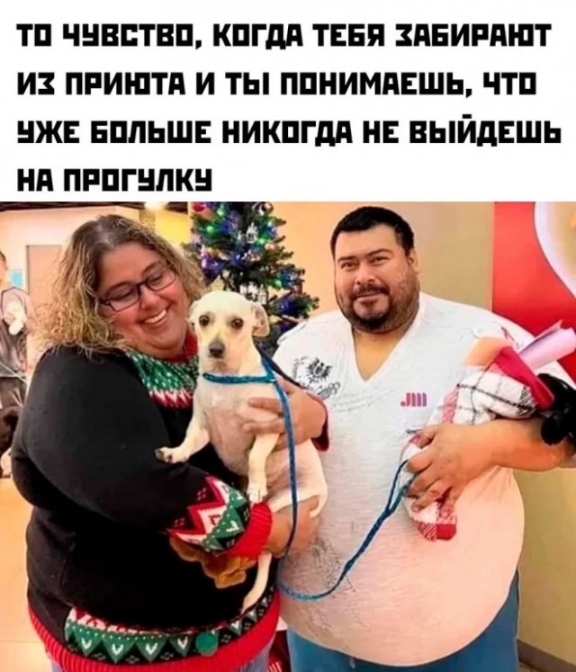 Картинки и мемы для настроения - 137