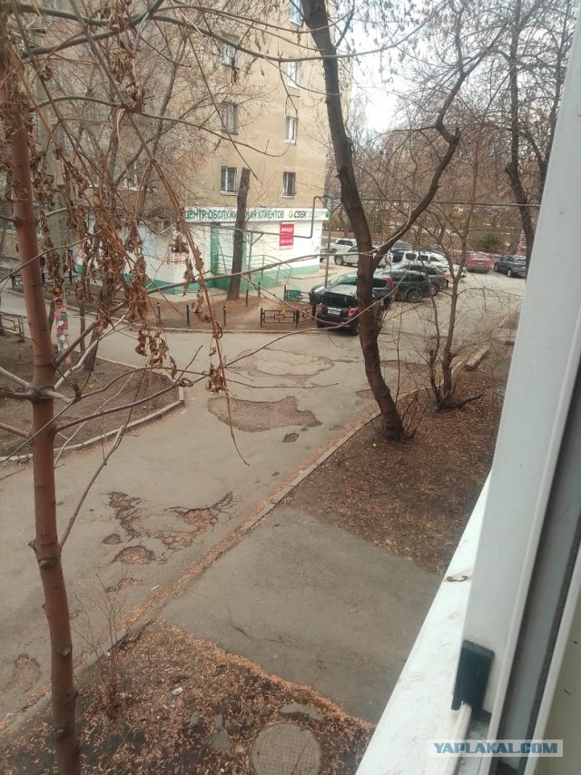 Арнольду Шварценеггеру, как любителю покататься на велике, пришлось заняться ямочным ремонтом
