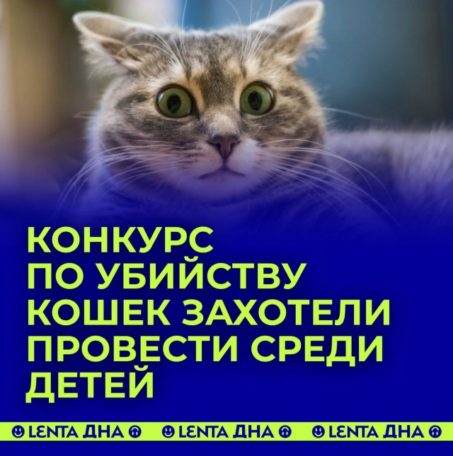 Победная поступь идиотизма по планете – том 12