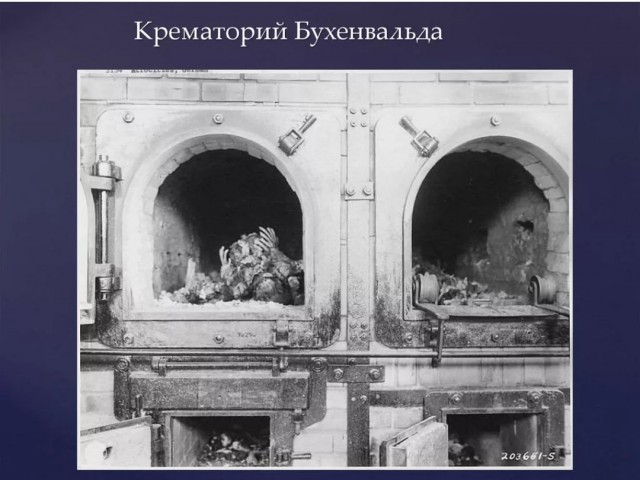 Победная поступь идиотизма по планете – том 12