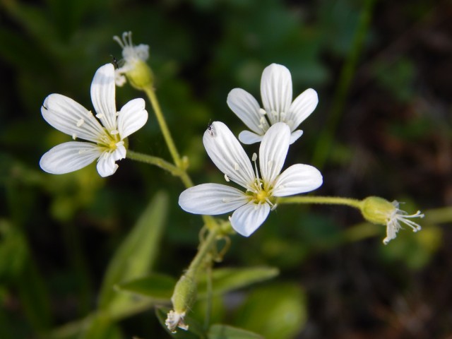 Природа Южного Урала