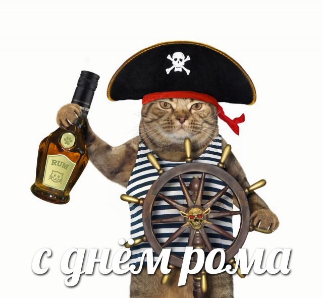 16 августа отмечают Всемирный день рома