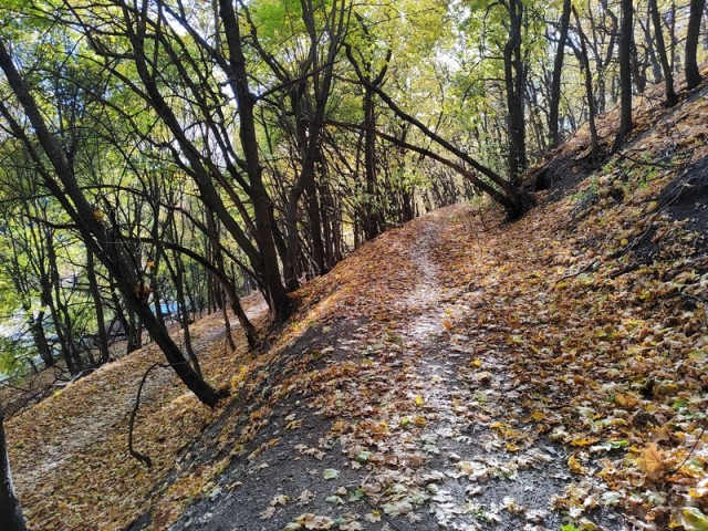Диагноз: Саратов
