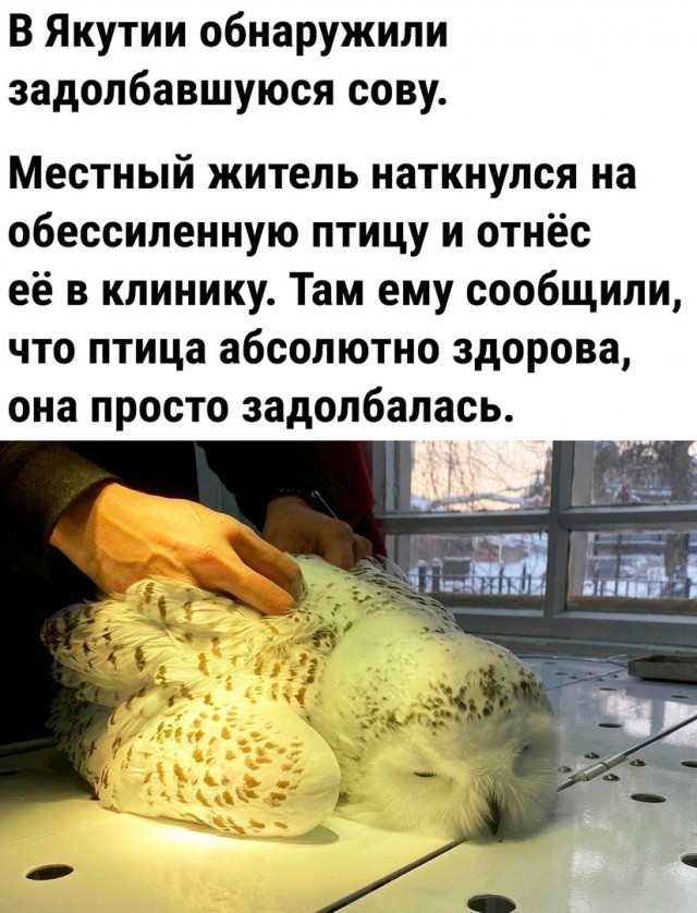 Так себе картинки 24.11.23