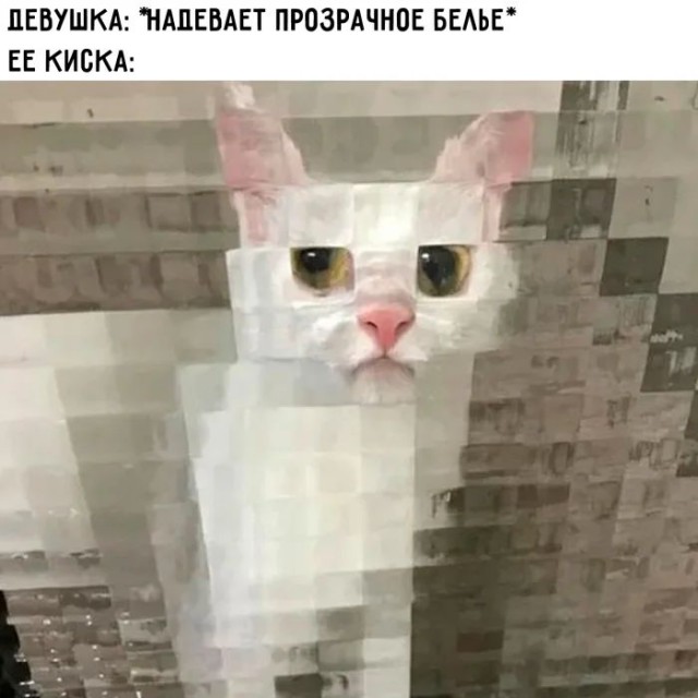 Приколы с налетом деградации