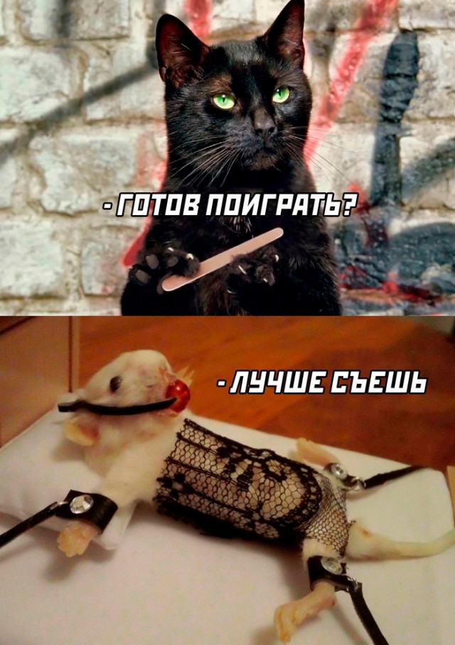 Хорошая ловушка