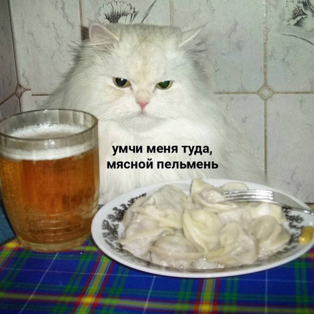 К дню пельменей