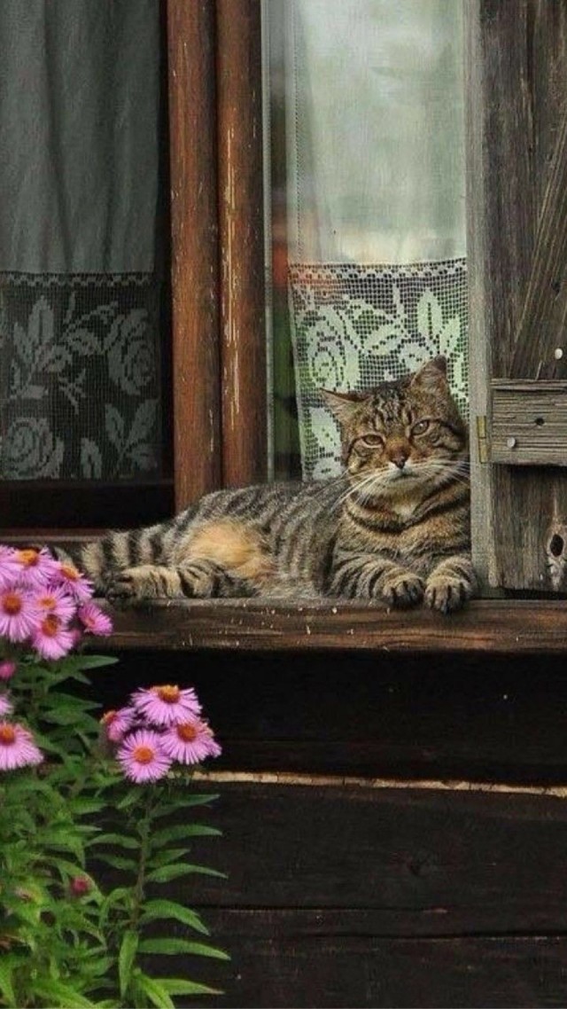 Прикольные и просто красивые картинки 19.04.2024